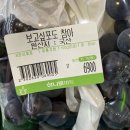 2024년 겨울 (+나트랑 여행)