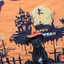 밀리아 펫살롱 이미지