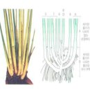 홍원바이오아그로 이미지