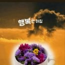 입석 Daum카페