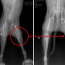 동백동물병원 이미지