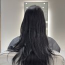 아드헤어 - 서초구 | 아드헤어