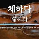 체질건강약국 이미지