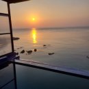 채움늘풀빌라 이미지