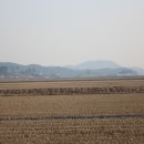 신성리생태공원 이미지