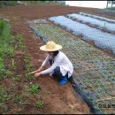 은인농장 이미지