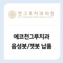 에코천그루치과의원 | [메타링크] 에코천그루치과 AI음성봇/챗봇 납품
