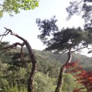 박달재자연휴양림 이미지