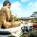 능선길 118 (1) | 파주 심학산 둘레길과 약천사 에서 만난 사색의 시간 - 겨울 하늘 아래 한강을 내려다보며 마음을 걷다