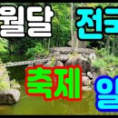 10월달 전국축제일정(전국행사일정,국내축제일정,국내행사일정,지역별축제일정,전국축제일정) 이미지