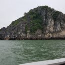 모텔하이퐁 이미지