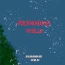 POP&캘리그라피 | 방탄소년단 진 첫 솔로앨범 &#39;HAPPY&#39; 앨범 후기ㅣ타이틀곡Running Wild 캘리그라피ㅣ김나 김가영