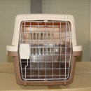 좋은켄넬 이미지