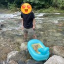 포시즌밸리계곡애견펜션 | 가평 가족여행 반려견 동반, 포시즌밸리 계곡 애견펜션 솔직후기 (찐)