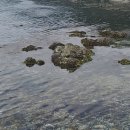 기장땅부동산공인중개사사무소 이미지