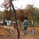 호정숲속어린이집 이미지