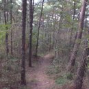 경기둘레길 안산49코스 이미지