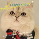 백제오뎅 네이버블로그