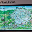 발왕산 관광케이블카 코스 | [평창 볼거리] 발왕산 관광 케이블카 후기 (요금 포함)