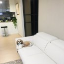 허니네집
