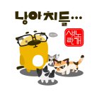 냥아치들 - 부평구 길주남로 112 | 냥아치들