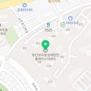 고양이미용 캣어스 이미지