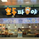 호두파야 이미지