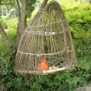 다산농원 이미지