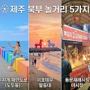 명진카서비스 | [제주도 여행] 뚜벅이 혼자 떠나는 감성 코스 BEST 20: 제주시부터 서귀포까지 완벽 가이드