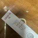 남일 약국 | 남일 같던 코로나19의 재유행, 나에게도 찾아왔다.