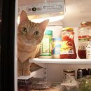 (주)시원테크 이미지