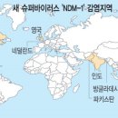 미국서 슈퍼 박테리아 확산...2만명 사망 이미지