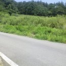 여주-0928 이미지