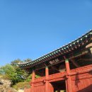 한옥마을주유소 | [고창 당일치기] 고창읍성 철쭉 고창 청보리밭 축제 같이 가볼만한 곳