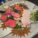 와따참치 이미지