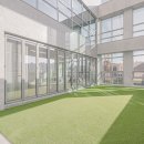 도그아레아 이미지