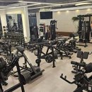 더모스트핏 이미지