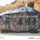 마곡사관광지 | 충남 공주 단풍 명소 마곡사, 단풍 사진 찍기 좋은 곳