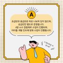 아쿠아키즈 이미지