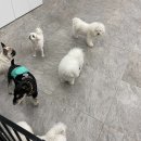 독크루 첨단점 이미지