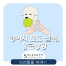 위례S동물의료센터 이미지