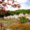 토탈공인중개사사무소 이미지