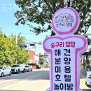 숭구리댕댕 | 권선구 탑동 애견샵 숭구리댕댕 위치.가격.시간.후기