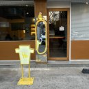 요호야(yohoya) 이미지