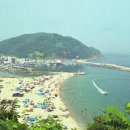임원해수욕장 Daum카페