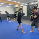 라텔 주짓수,복싱 강서 | 목동 주짓수 아트주짓수 강서, 리뉴얼 후 직접 체험한 후기!
