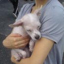 금광동물병원 이미지