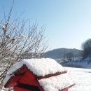 별스런 산책 이미지