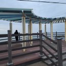 7번국도 동해대로(강현면) 이미지