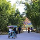 태화강대공원 대여소 | 울산여행 도심속 힐링공간 죽림욕을 즐길 수 있는 초록세상 태화강 십리대숲